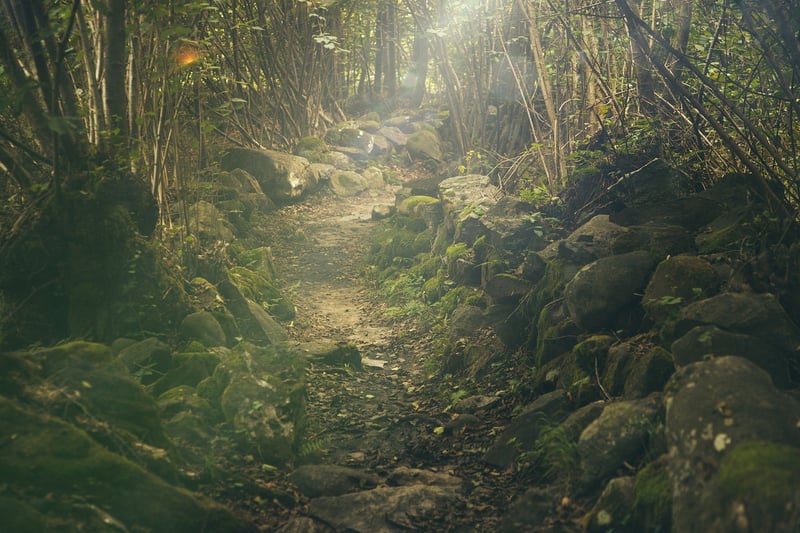 Wilderness